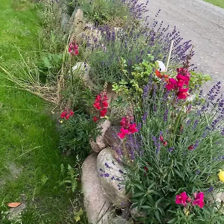 Haus Ruhe Unter Reet Ferienhaus *