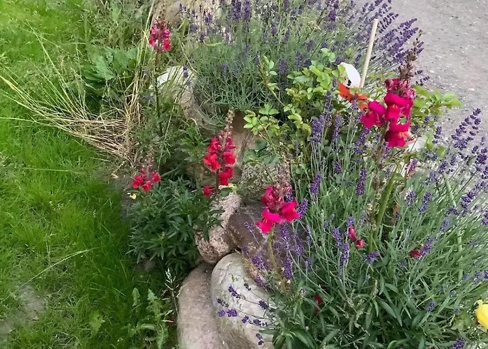 Haus-ruhe-unter-reet Vakantiehuis *